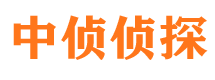 石嘴山市婚姻调查